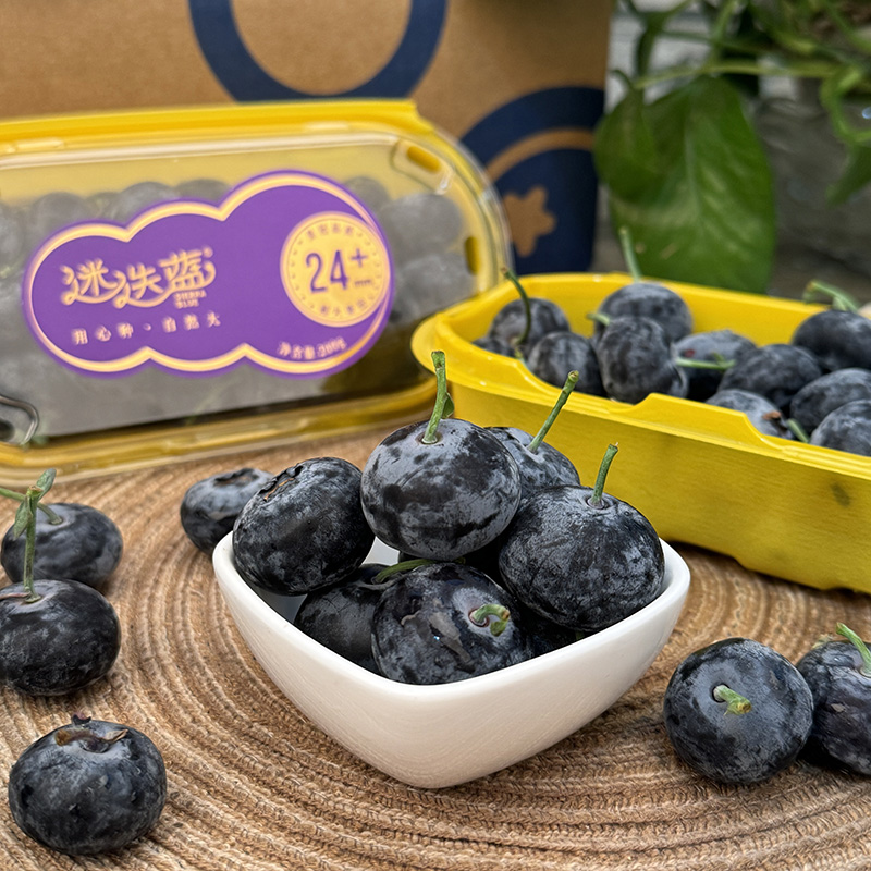 乐鲜果园云南迷迭蓝蓝莓大果2盒装当季新鲜蓝莓水果