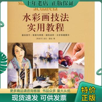 正版包邮水彩画技法实用教程 9787505963870 波拉·蕾娃 中国文联出版社