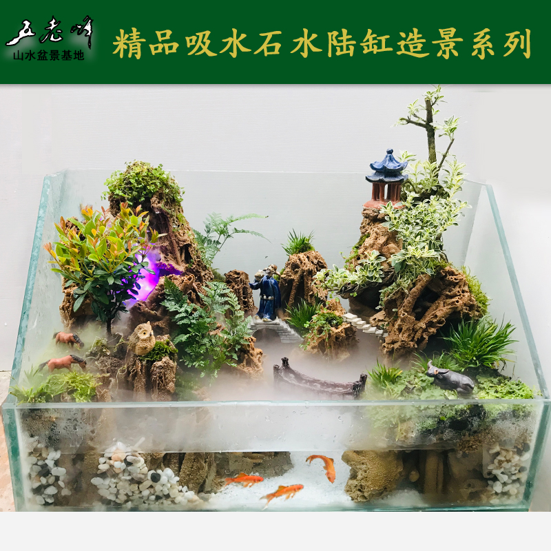 五老峰精品吸水石芦管石原石植物造景组合玻璃水陆缸造景微景观