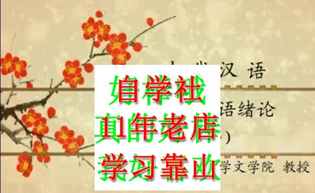 南京古代汉语上下高小方181讲视频