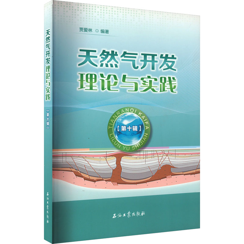 天然气开发理论与实践 第10辑 贾爱林 编 石油工业出版社