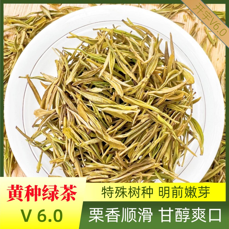 【6.0黄种绿茶】2024新茶绿茶茶叶特色黄化树种浙江工艺高端品质