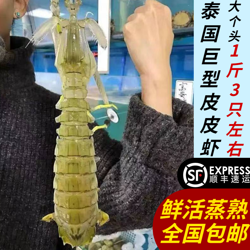 带膏皮皮虾超大有黄虾爬子濑尿虾巨型泰国富贵虾特大2只母虾