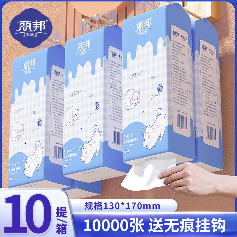 丽邦挂式抽纸10提大包家用纸巾悬挂式家庭装卫生纸厕纸擦手纸