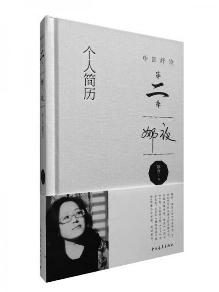 【正版新书】个人简历 娜夜 中国青年出版社