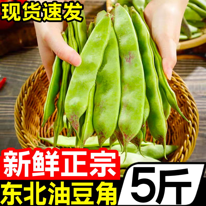 东北油豆角5斤黑龙江新鲜现摘蔬菜一点红油豆角九月青整箱包邮10