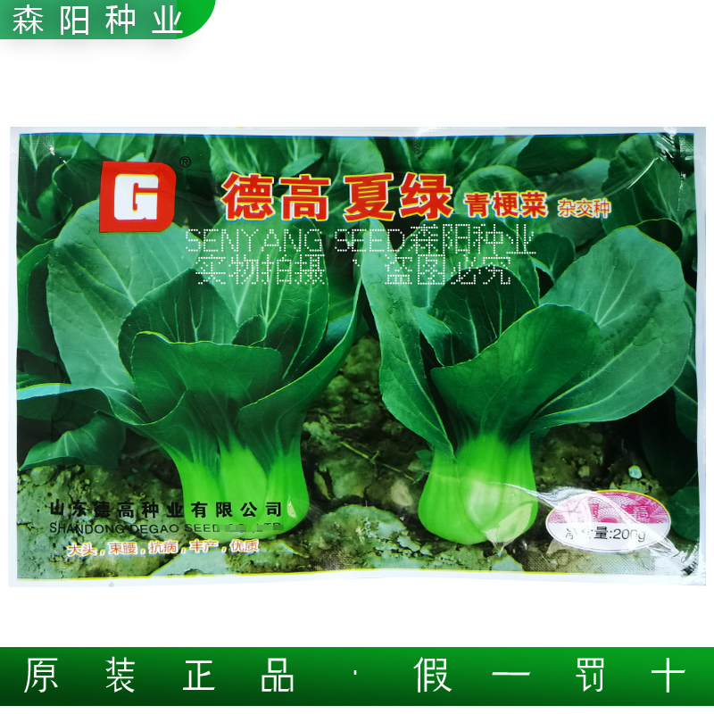 德高夏绿青梗菜杂交种四季速生小青菜种子籽上海苏州青鸡毛菜苗菜