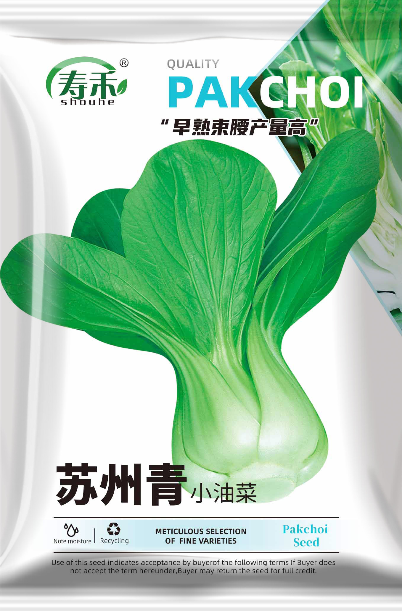 苏州青油菜种子种籽正宗上海青小青菜四季籽种冬季蔬菜孑菜籽南方