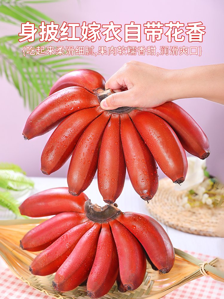 福建红美人香蕉9斤装新鲜当季水果现摘芭蕉小米蕉红香焦整箱