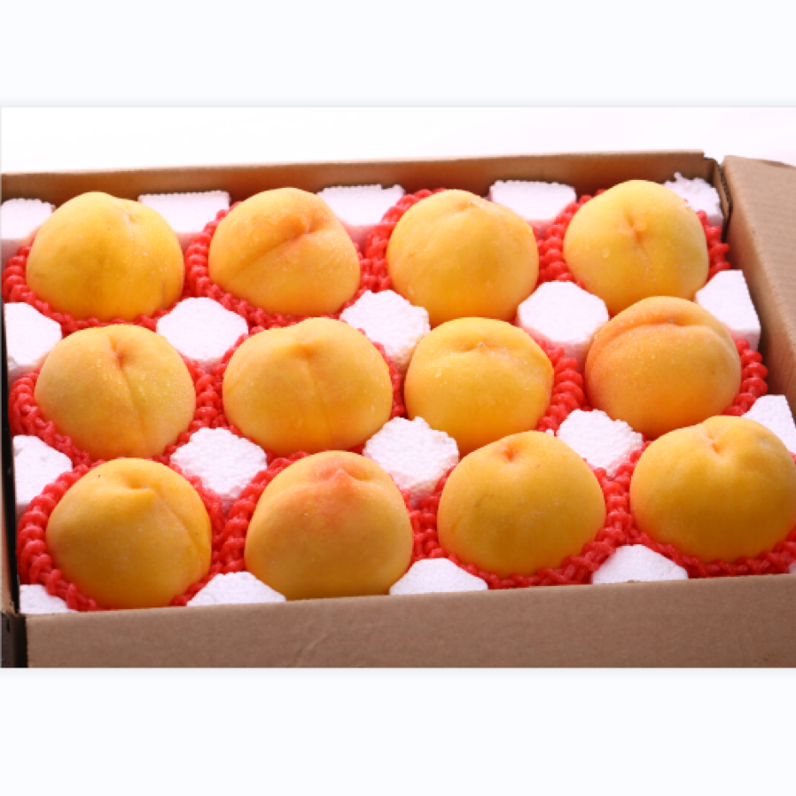 现摘现发砀山大黄桃应季水果10斤包邮整箱可做黄桃罐头