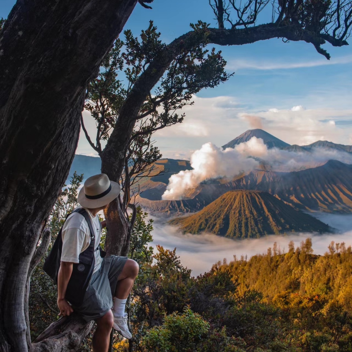 巴厘岛定制 探险布罗莫火山伊真山看日出享蓝色火焰之美