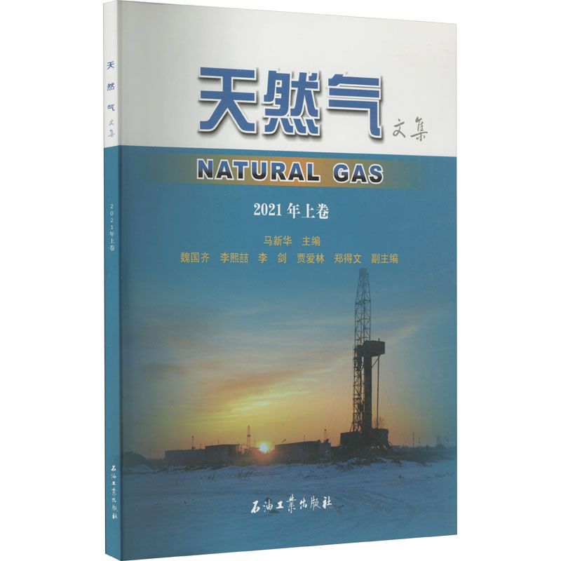 天然气文集 2021年上卷 马新华 编 石油工业出版社