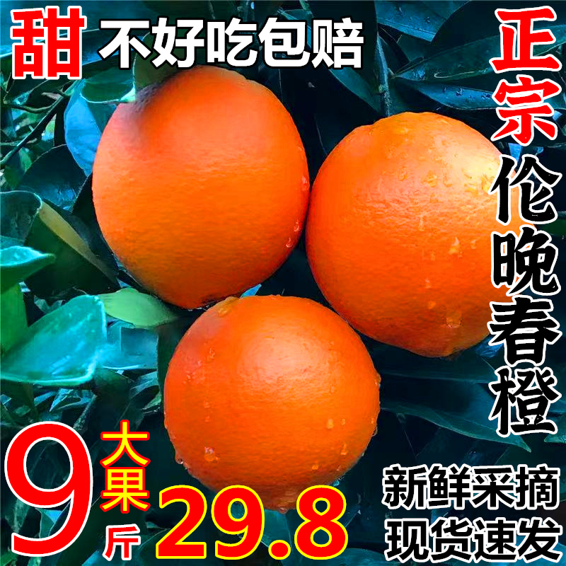 正宗伦晚脐橙子10斤江西赣南品种脐橙当季水果新鲜果冻冰糖9斤5斤
