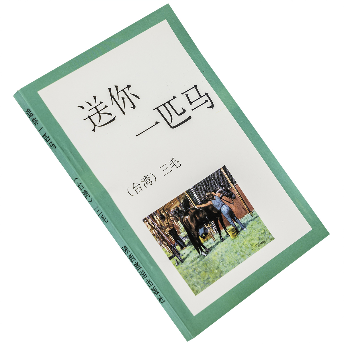 送你一匹马 三毛文集 三毛作品集 陕西旅游出版社 正版书籍 老版 9787541806339