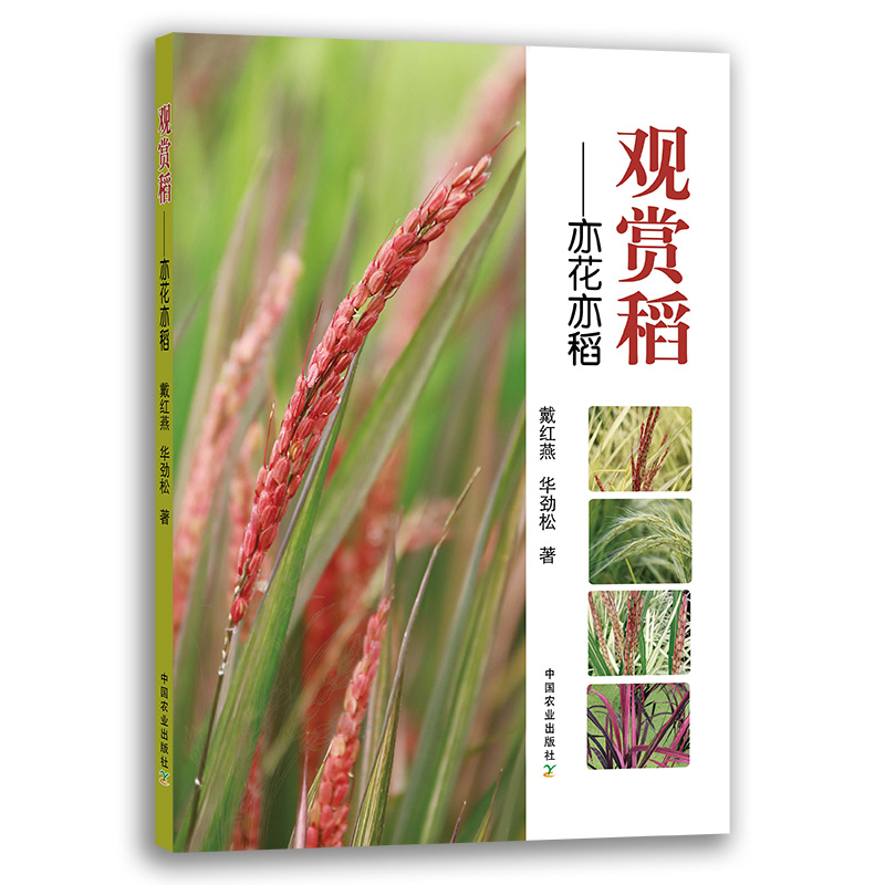 观赏稻-亦花亦稻 观赏 水稻 稻子 观赏水稻 中国农业出版社9787109279834