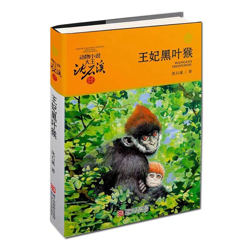 升级版动物小说大王沈石溪·品藏书系-王妃黑叶猴