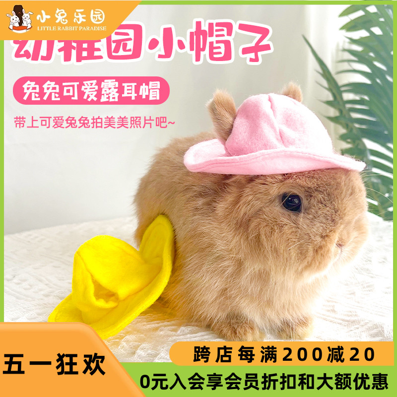 宠物兔兔穿的衣服兔子衣服配饰小帽子日式卡哇伊风小黄帽凹氛围感