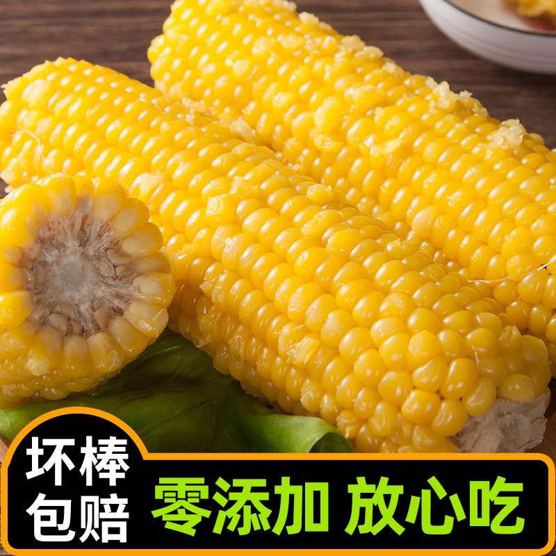 黑龙永胜  东北黄糯玉米现摘新鲜10棒黄玉米真空装东北粘玉米