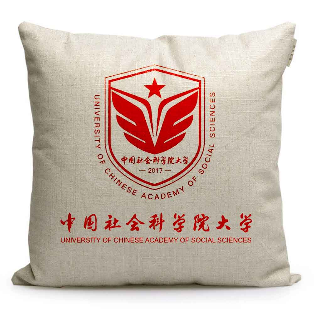 中国社会科学院大学纪念品定制沙发抱枕高考礼物周边学生靠枕