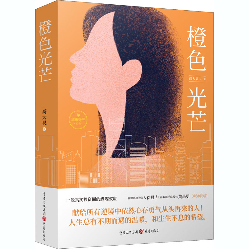 橙色光芒 高大果 著 官场、职场小说 文学 重庆出版社 正版图书