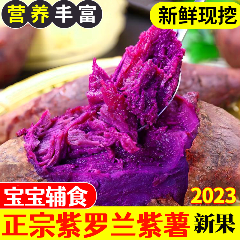 广西糖心紫薯新鲜农家自种沙地紫罗兰小红薯番薯板栗地瓜山芋蔬菜