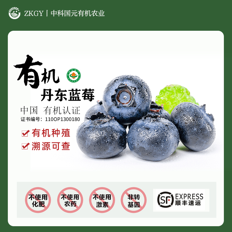 有机蓝莓2斤新鲜丹东有机种植无添加现摘现发蓝莓顺丰包邮