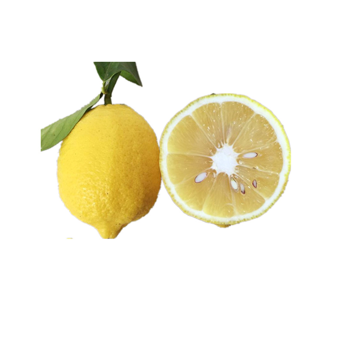 30斤精选彩袋包装一级果商用推荐安岳黄柠檬皮薄汁多包邮