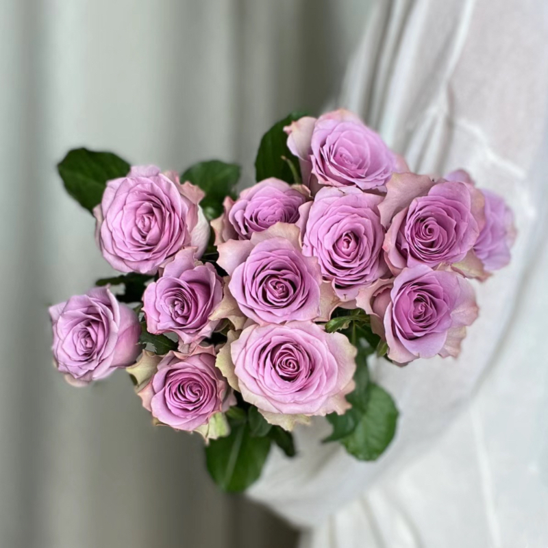 鲜花云南新鲜直发紫玫瑰百合混搭办公室家用水养花瓶鲜切花