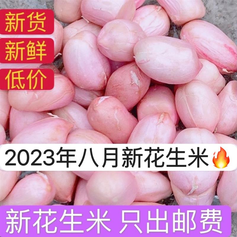 花生米生新山东新货2023年大颗粒农家新鲜特大特级今年优质花生仁