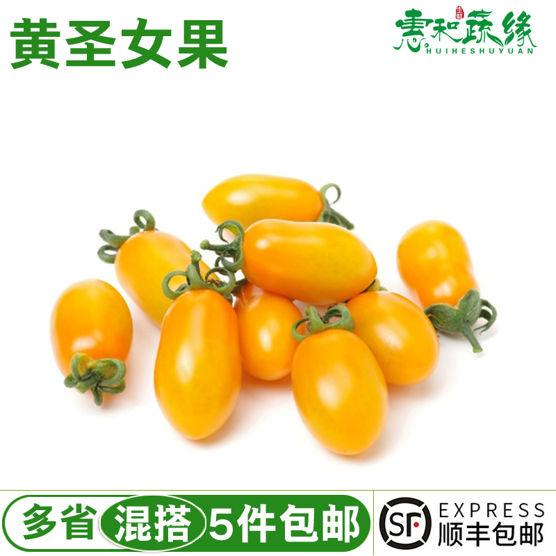 新鲜黄色圣女果小番茄樱桃西红柿新鲜孕妇宝宝水果农家水果2斤