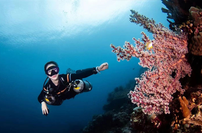巴厘岛潜水图兰本蓝梦岛佩妮达岛持证深潜/无证体验深潜酒店接送