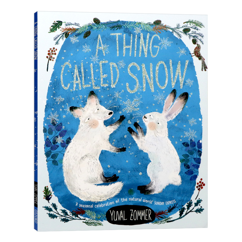 尤瓦尔佐默一种叫做雪的东西英文原版 A Thing Called Snow 儿童绘本故事图画书知名作者Yuval Zommer作品英国牛津大学出版社读物