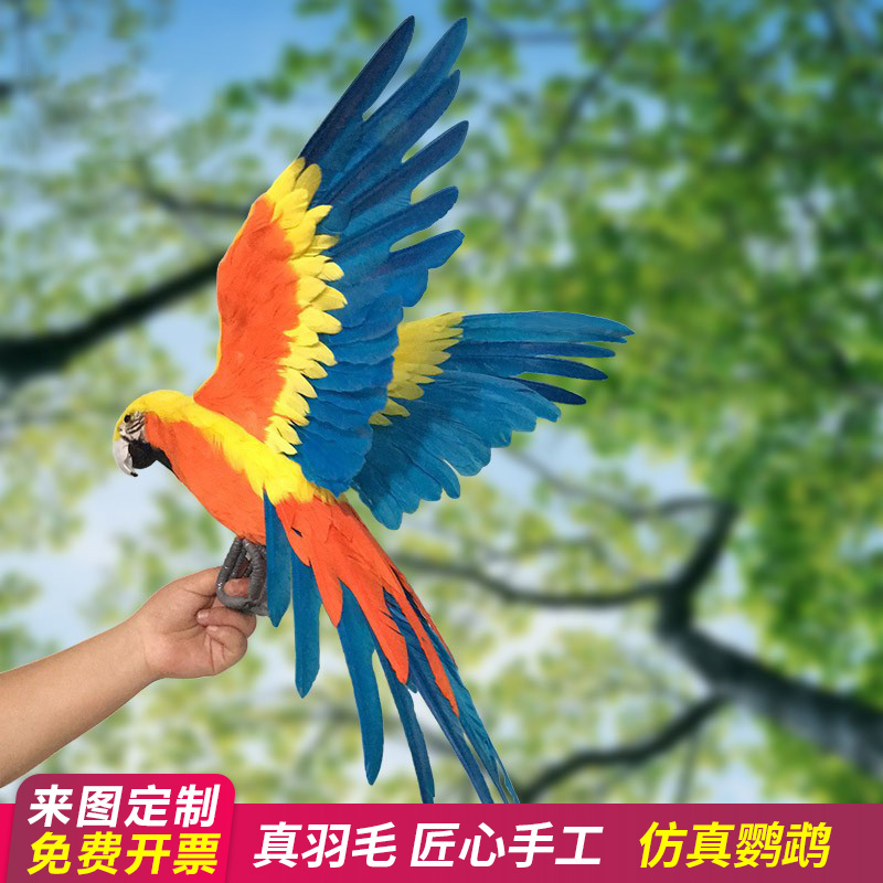 濮艺仿真金刚鹦鹉摆件羽毛鸟彩色动物道具教学模型摄影工艺品30cm