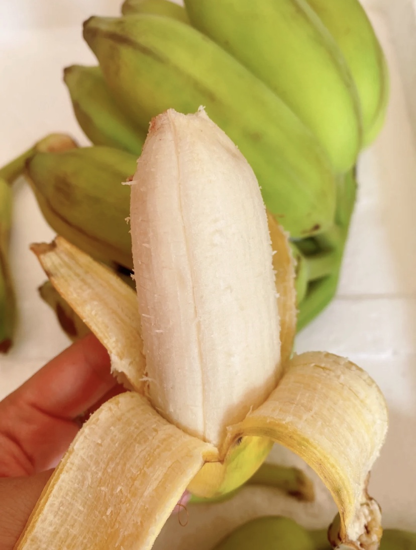 海南黎乡水果当季芭蕉香蕉粉蕉软糯香甜新鲜采摘发货5斤装包邮