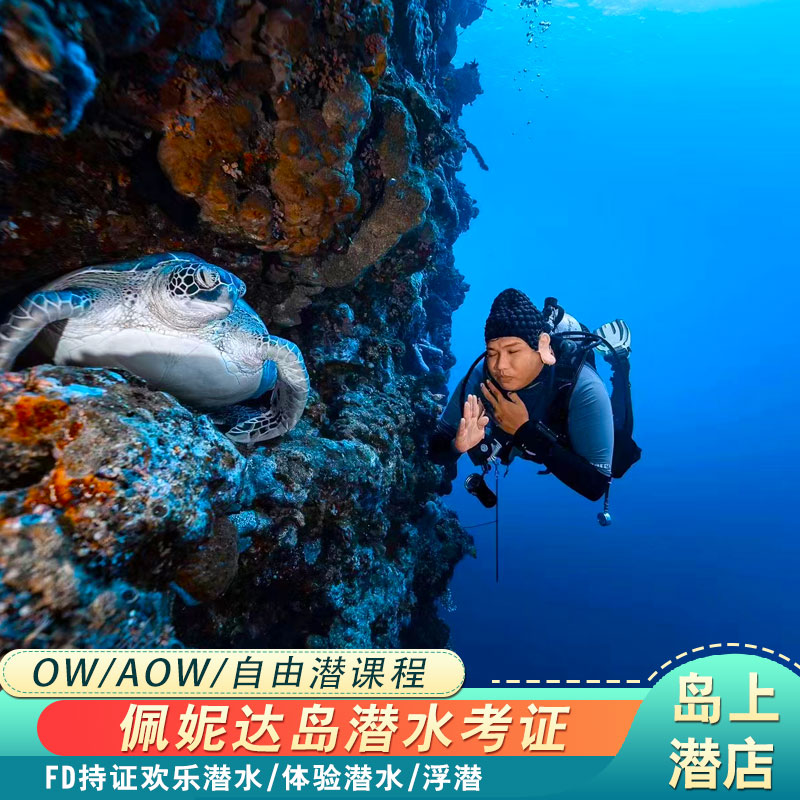 巴厘岛佩妮达岛潜水考证OW/AOW/自由潜/持证FD潜水/体验深潜