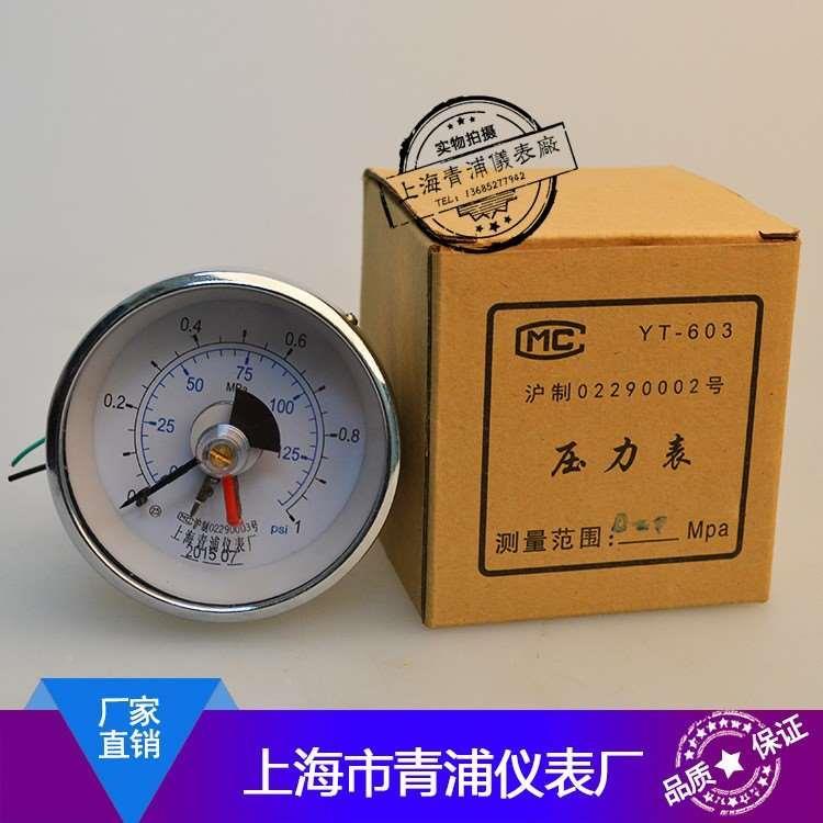 上海市青-浦6仪表 YT6YT-ZYK电0303 Y6T-D0上下厂限接压点力表