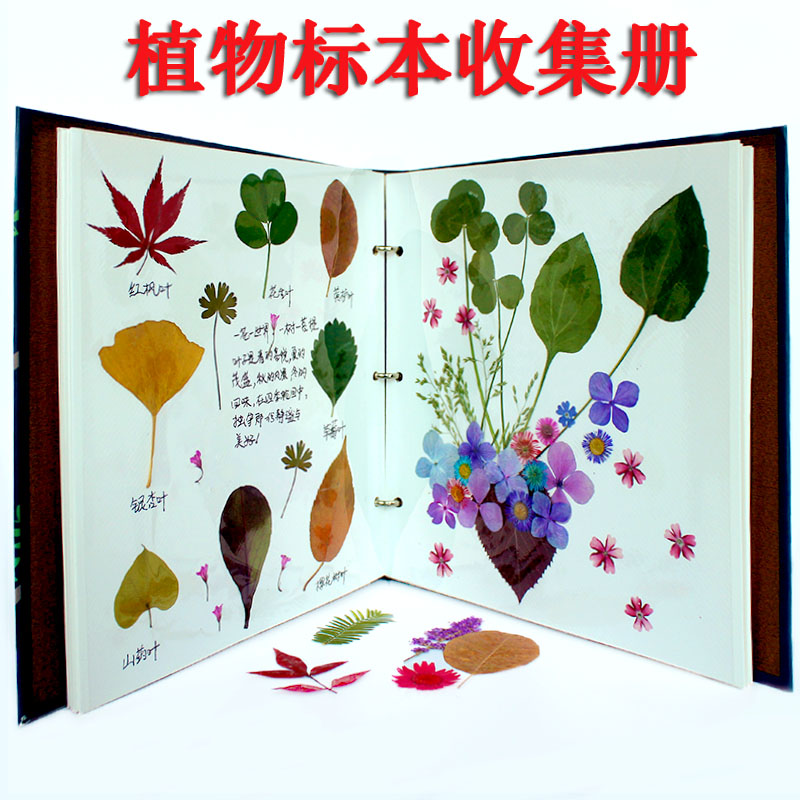 标本册粘贴式覆膜植物标本树叶干花收集册干花压花材料DIY相册