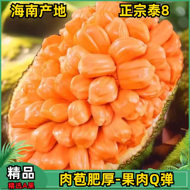 正宗泰国8号菠萝蜜红肉品种海南产地发货新鲜水果整个当季干苞