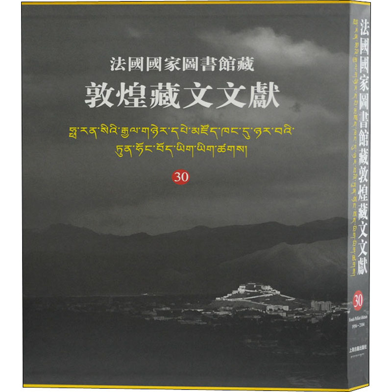 合作小说（文）法国国家图书馆藏敦煌藏文文献 30