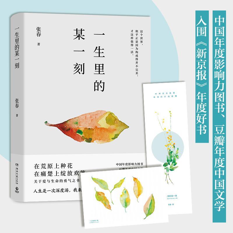 RT69包邮 一生里的某一刻湖南文艺出版社文学图书书籍