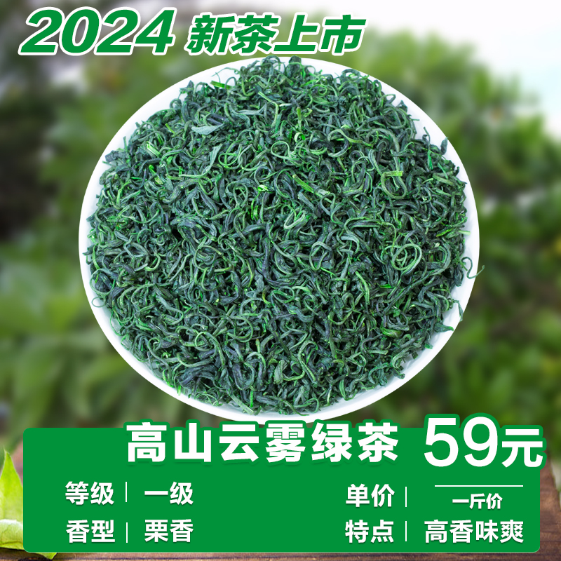 2024新茶高山云雾绿茶浓香型日照绿茶板栗香茶叶散装炒青香茶一斤