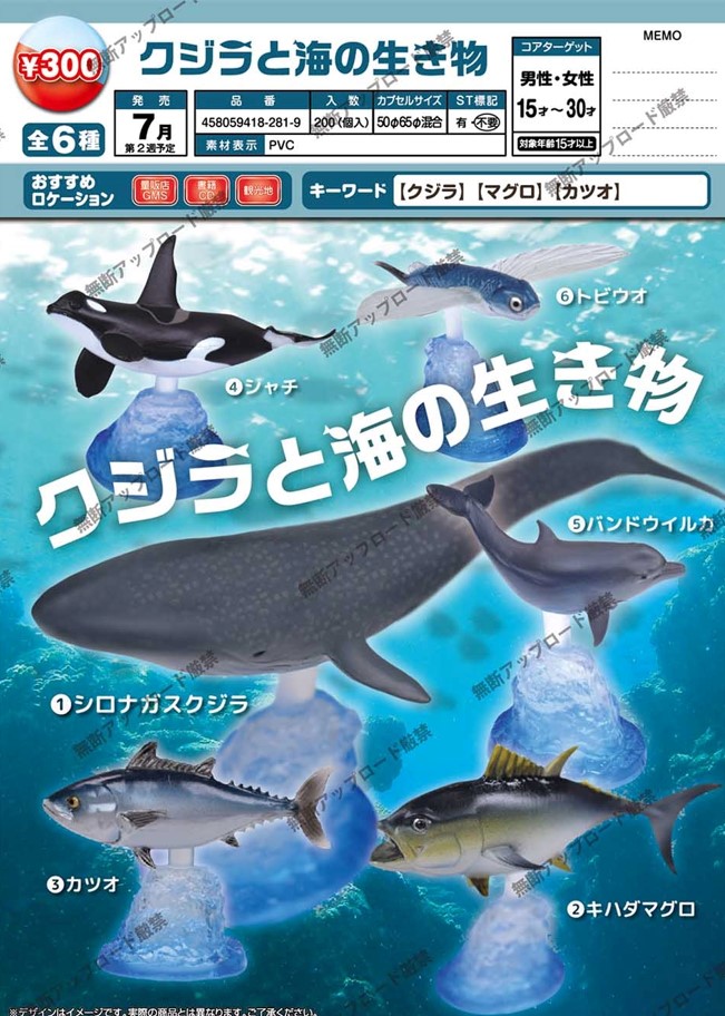 日本EPOCH正版扭蛋玩具 鲸和海洋生物 静态摆件全六款现货