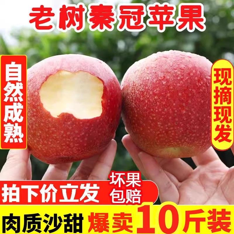 陕西秦冠苹果脆粉两吃5/10斤红苹果当季新鲜苹果
