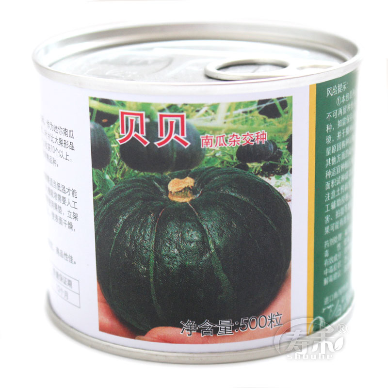上海日本惠和一号正宗贝贝南瓜种子种籽孑苗秧板栗味小菜苗籽种绿