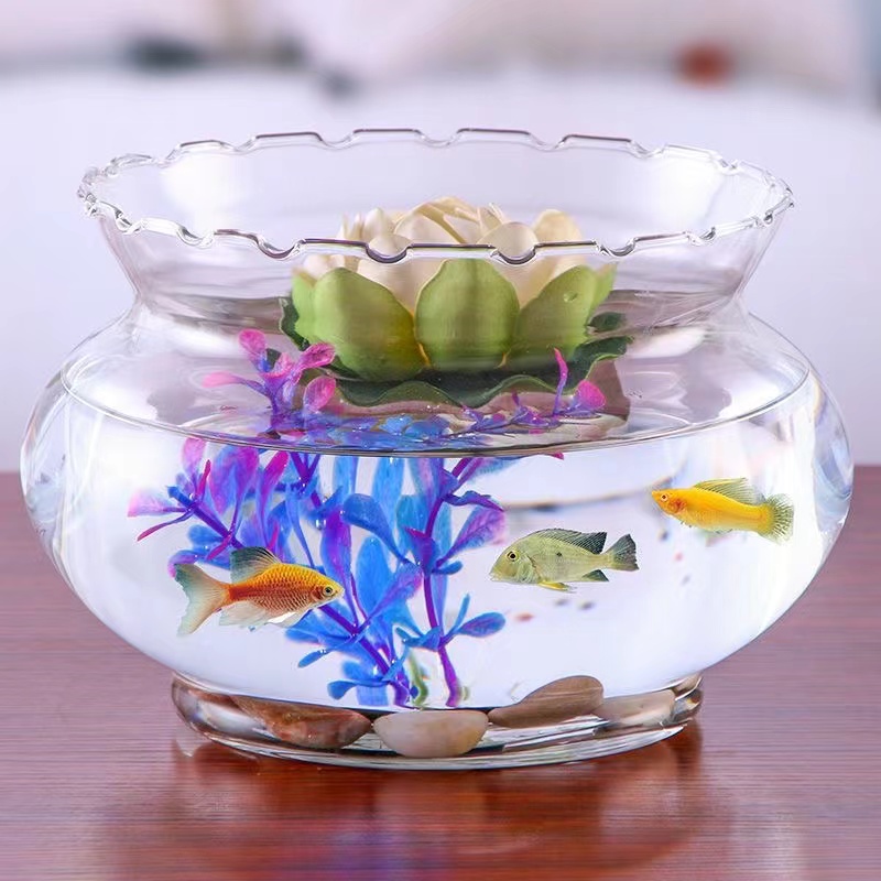 迷你小型桌面花边鱼缸办公室金鱼水培绿萝超白玻璃圆形造景缸特价