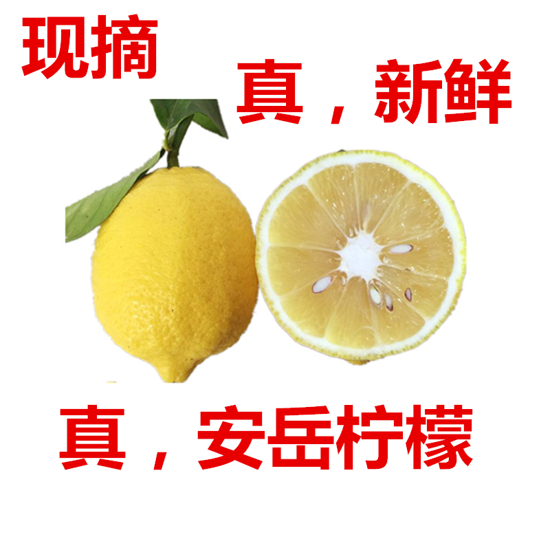 真 安岳新鲜黄柠檬 四川 真 现摘黄柠檬当季新鲜现摘水果柠檬包邮