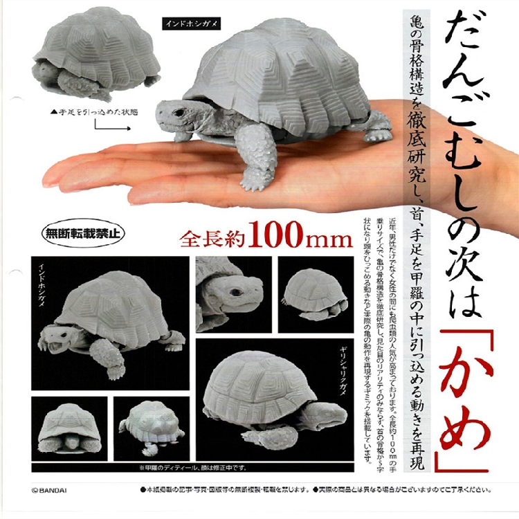 万代正版扭蛋 海龟变形玩具 海洋生物 仿真乌龟摆件 全四款 现货