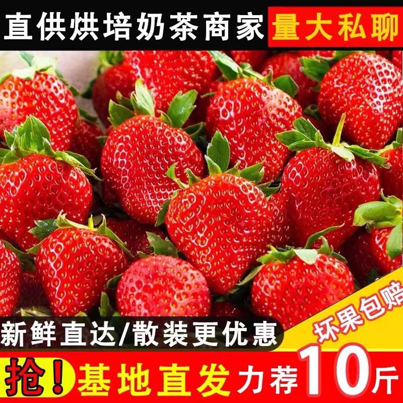 云南草莓新鲜烘焙奶茶蛋糕商用当季孕妇水果10斤奶油牛奶草莓包邮