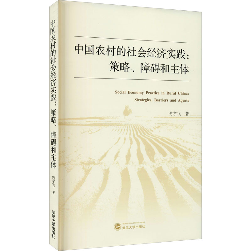 保证正版】中国农村的社会经济实践:策略、障碍和主体何宇飞武汉大学出版社