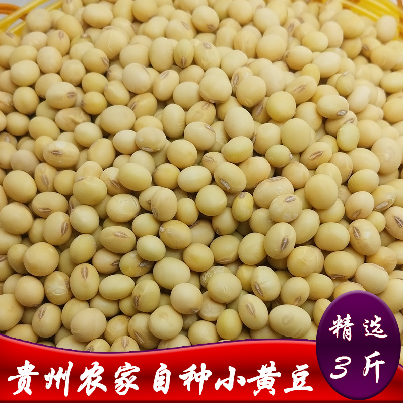 小粒黄豆贵州农家自种散装3斤非转基因打豆浆专用老品种新土黄豆